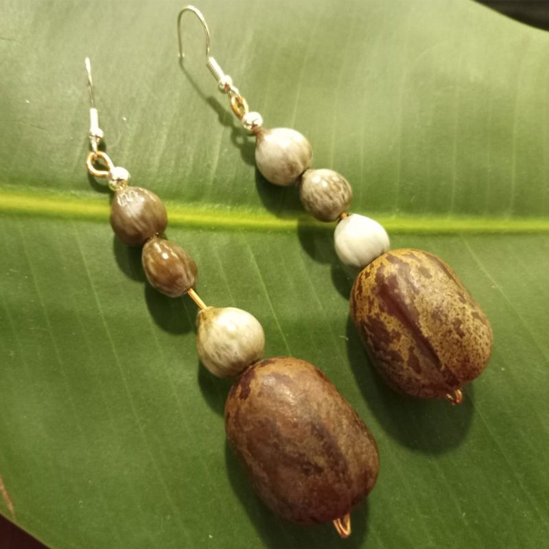 Aretes con semillas